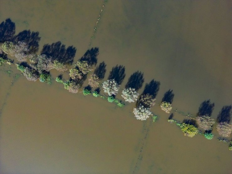 Vom Hochwasser des Flusses Oder sind im September 2024 Wiesen vor der Stadt Frankfurt (Oder) überflutet. (Archivbild) - © Patrick Pleul/dpa