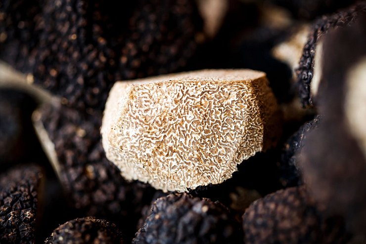 Ein aufgeschnittener Burgundertrüffel (Tuber uncinatum) auf einem Markt in der Schweiz. (Archivbild) - © Valentin Flauraud/KEYSTONE/dpa