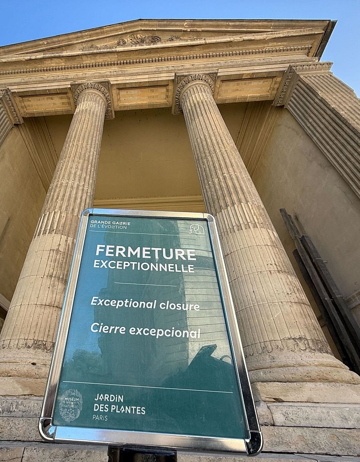 Aufgrund des Diebstahls wurde das Museum vorübergehend geschlossen. - © Rachel Sommer/dpa