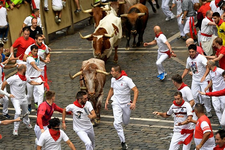 Vor den Bullen herzulaufen, ohne auf die Hörner genommen zu werden oder unter die Hufe zu geraten - das ist das Ziel Läufer bei den Stierhatzen im nordspanischen Pamplona. - © Alvaro Barrientos/AP/dpa