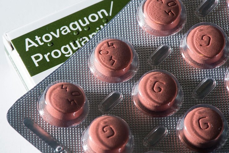Tabletten mit dem Wirkstoff Atovaquon/Proguanilhydrochlorid dienen der Vorbeugung gegen Malaria. Die Prophylaxe mit Tabletten bezuschussen aber 11 der 68 von der Stiftung Warentest untersuchten gesetzlichen Versicherer nicht. - © Franziska Gabbert/dpa-tmn