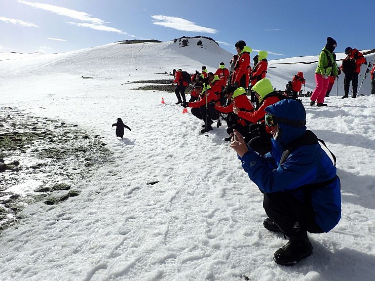 Pinguine zu beobachten, ist ein Highlight der meisten Landgänge. - © Ricardo Roura/dpa