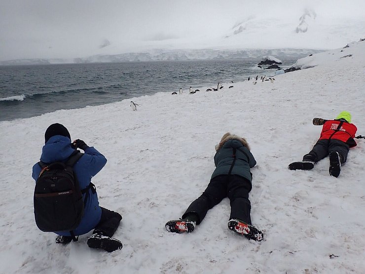 Pinguine so hautnah vor die Linse zu bekommen, reizt die meisten Touristen. - © Ricardo Roura/dpa