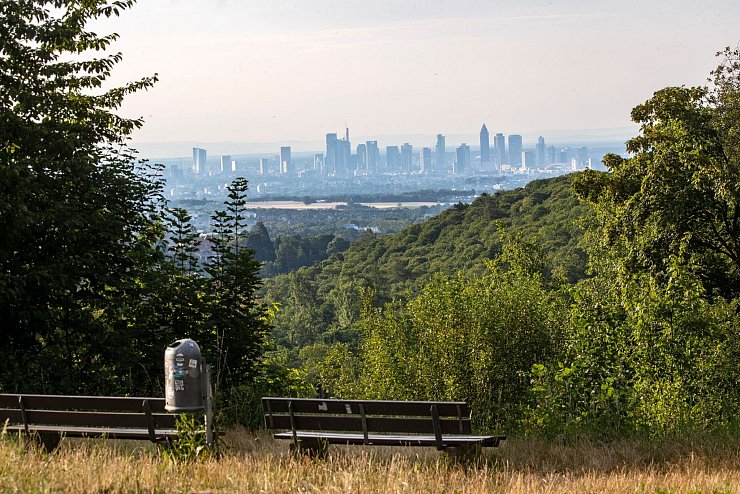 Sonne im Süden und Schauer im Norden zeigt die Wettervorhersage für Sonntag. - © Helmut Fricke/dpa