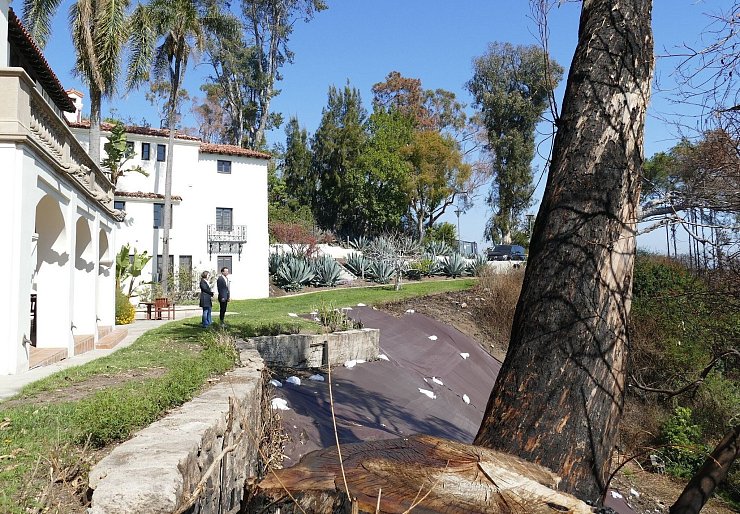 Ein Steilhang im Garten der Villa Aurora hat Brandschäden. - © Barbara Munker/dpa
