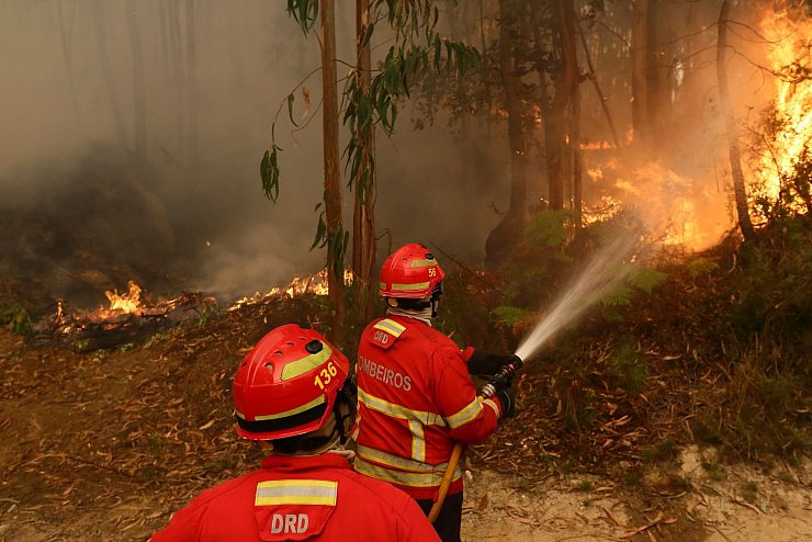 Die Zahl der Waldbrände wächst mit dem Klimawandel (Archivbild) - © Bruno Fonseca/AP