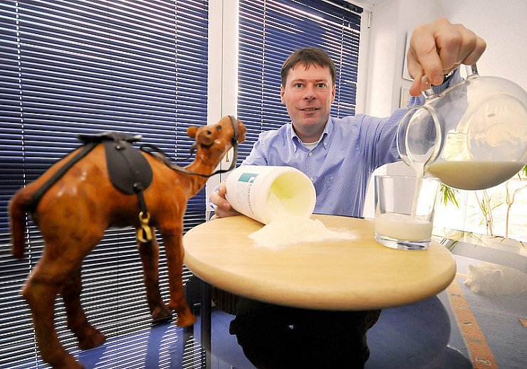 Der Bielefelder Martin Wilke will in Form von Pulver Milch von Kamelen (im Foto ein Modell eines Arabischen Kamels oder Dromedar) haltbar machen. - © FOTO: KARL-HENDRIK TITTEL