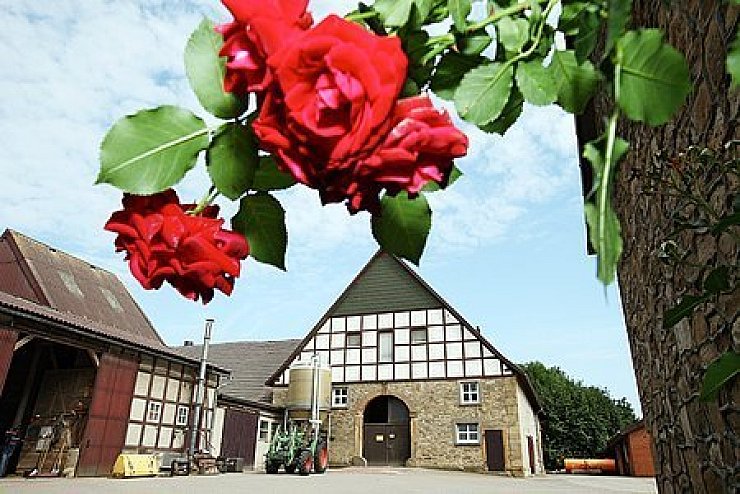 Historische Fassade: Nur die Front des alten Bauernhauses überstand den Brand, heute sind die Jungrinder in dem zum Stall ausgebauten Gebäude untergebracht. Gegenüber hat sich die Familie ihr neues Domizil gebaut. Foto: PREUß