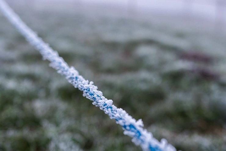 Eisige Temperaturen im Hochschwarzwald - © Philipp von Ditfurth/dpa