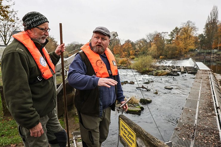 Fischwirt Dennis Bock (links) und Fischwirtschaftsmeister Sven Wohlgemut helfen deutschen Wildlachsen bei der Fortpflanzung. - © Oliver Berg/dpa