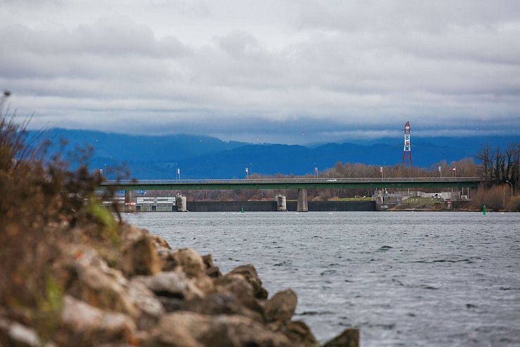 Nach dem Fund von Leichenteilen im Rhein ist ein 58-Jähriger angeklagt. (Archivbild) - © Philipp von Ditfurth/dpa