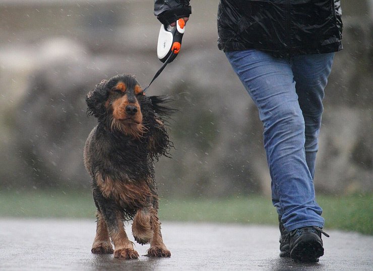 In Teilen von Wales galt die stärkste Wetterwarnung: «Lebensgefahr». - © Ben Birchall/PA Wire/dpa