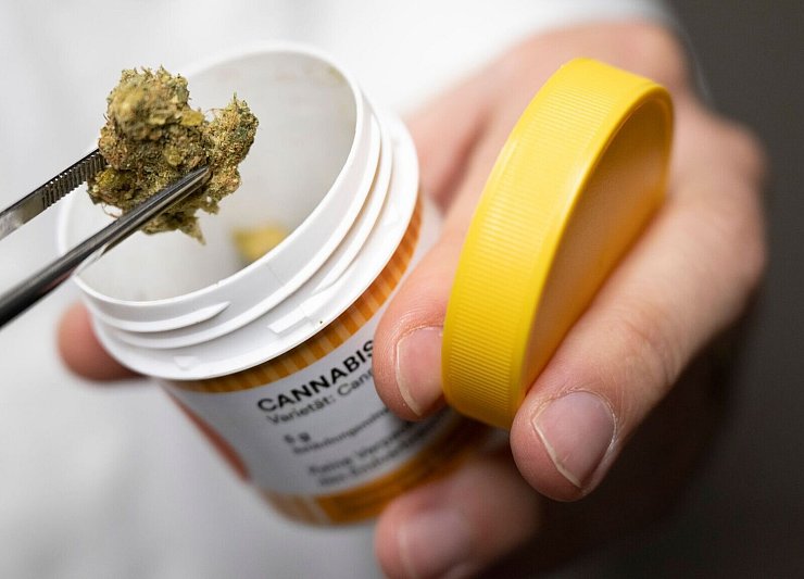 Cannabisblüten zur medizinischen Behandlung. Ab April könnten Ärzte medizinisches Cannabis leichter verschreiben. - © Boris Roessler/Deutsche Presse-Agentur GmbH/dpa