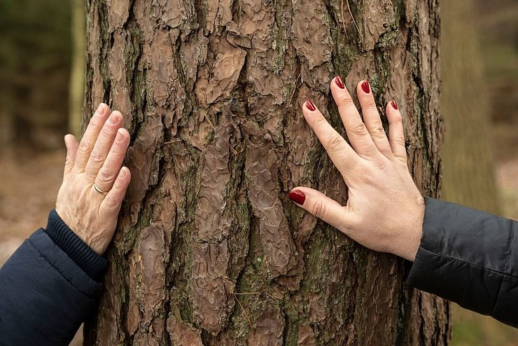 Einfach mal anfassen und berühren: So verbindet man sich mit der Natur. - © Karsten Klama/dpa/dpa-tmn