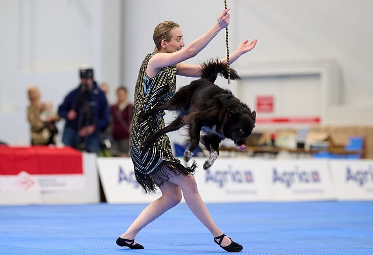 Es kann auch akrobatisch zugehen. - © Bernd Thissen/dpa
