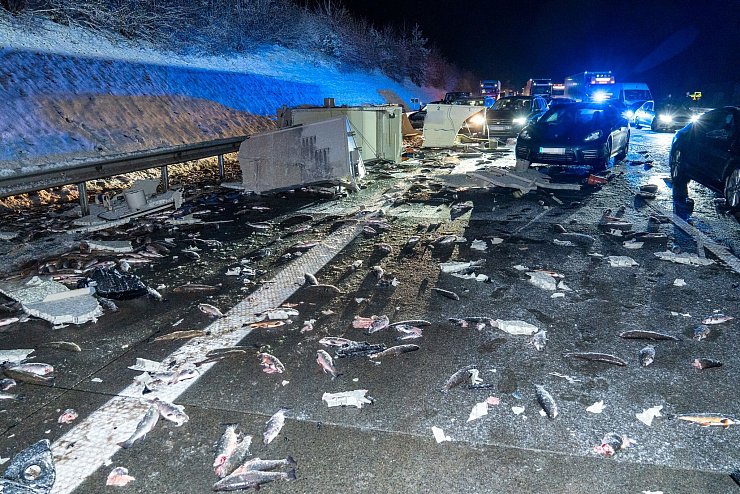 Die Forellen wurden bei dem Unfall über die Fahrbahn verteilt. - © JOTO/dpa