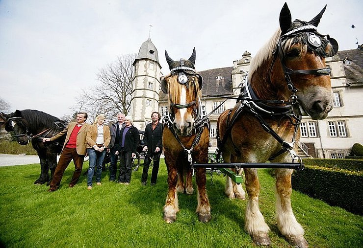 Die beiden Rheinisch-Deutschen Kaltblüter Magnus (rechts) und Esther sowie Kaltblüter Barney (links) mit den treibenden Kräften von "PferdeStark" in Dörentrup, Joachim von Reden, Katja Tiemann, Gerd Aschoff, Karla Ebert und Erhard Schroll (von links). - © Foto: Scherzer