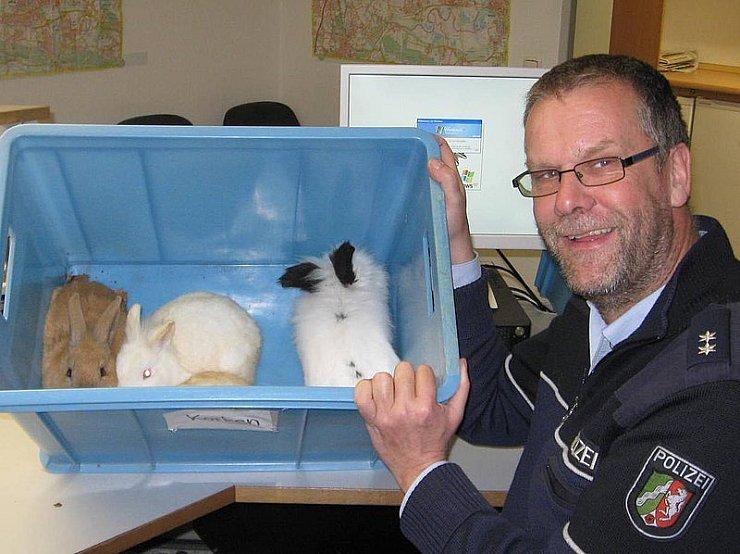 Die Polizei sucht nach dem Besitzer, der die Kaninchen in Porta ausgesetzt hat. - © Foto: Polizei