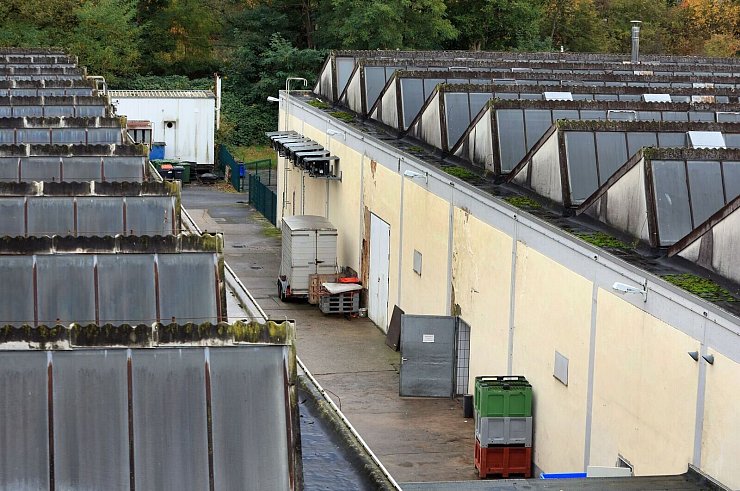 Etwas trostlos wirken die Gebäude auf dem Schlachthofareal. - © Karl-Josef Hildenbrand/dpa