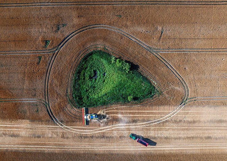 Die Agrarwirtschaft befürchtet, dass Landwirte künftig weniger EU-Geld bekommen. (Archivbild) - © Jens Büttner/dpa