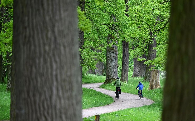 Wälder fördern die Vielfalt von Tieren und Pflanzen sowie menschliche Gesundheit und Wohlbefinden. (Archivbild) - © Bernd Weißbrod/dpa