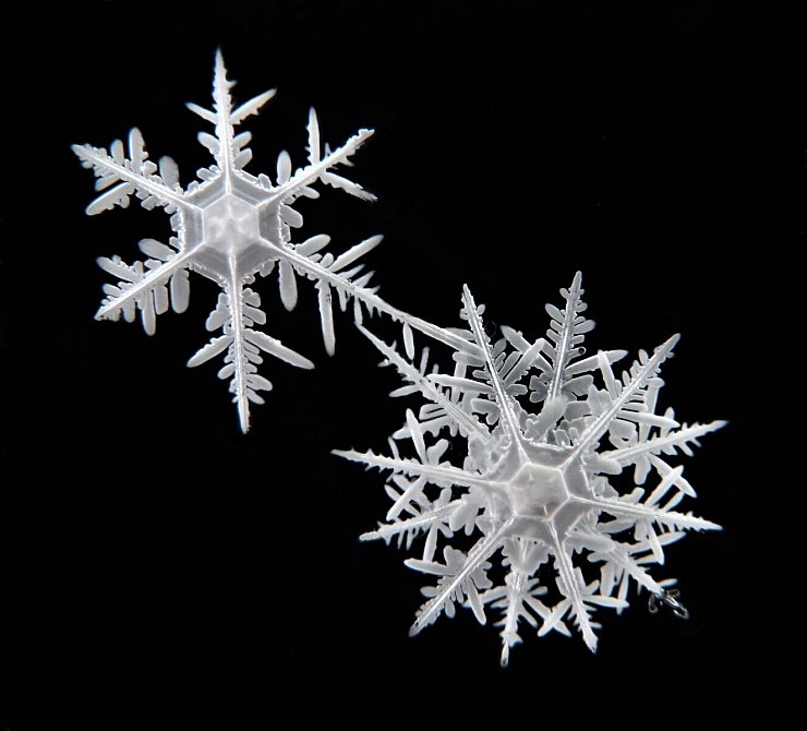 Die Schneeflocken haben sehr unterschiedliche Strukturen. - © Hoffmann/Cryosity/dpa