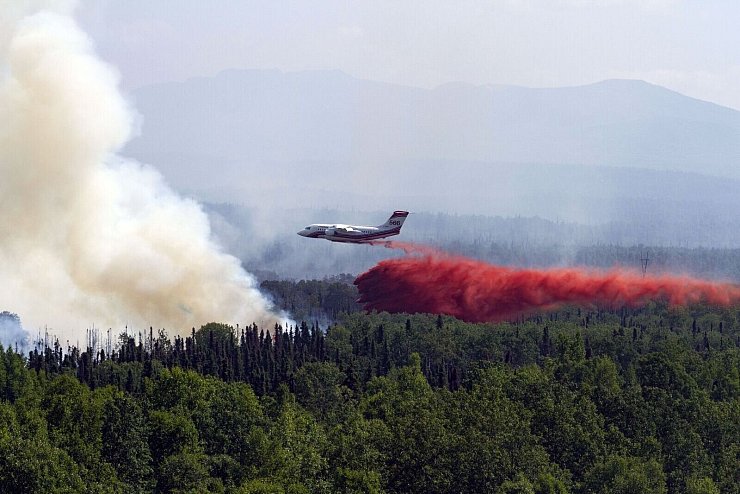 Waldbrände setzten 2023 zusätzlich CO2 frei (Archivbild) - © Michael Risinger/Zuma Press/dpa