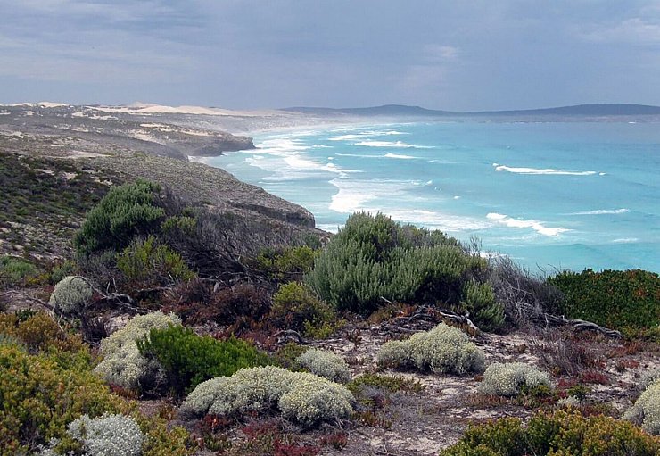 Das Opfer stammt aus dem wenige Hundert Kilometer entfernten Port Lincoln. (Archivbild) - © James Shrimpton/AAP/dpa