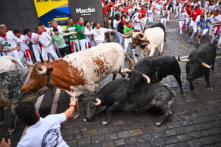 Auch dieses Jahr protestierten Tierschutzgruppen gegen die traditionsreiche Veranstaltung. - © Miguel Oses/AP/dpa