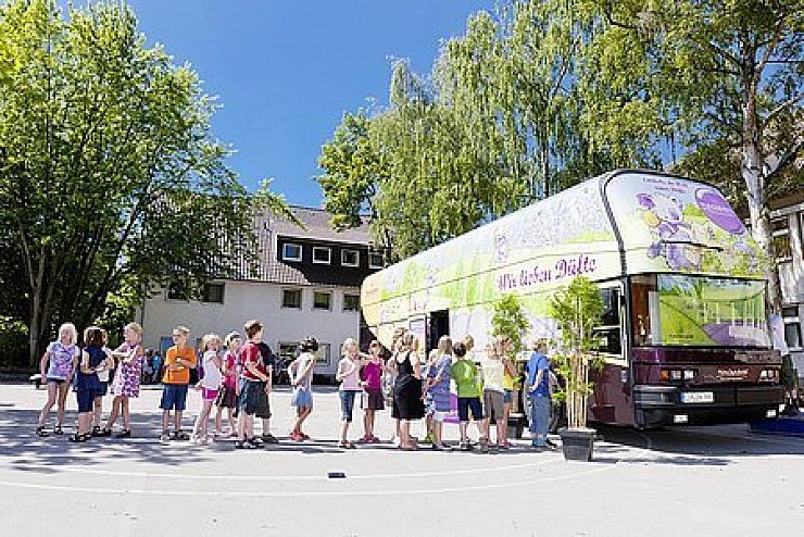 Duft im Bus: Mit einem umgebauten Bus will Taoasis unter anderem auch an Schulen Nasen für die natürlichen Duftessenzen sensibilisieren. - © Foto: privat