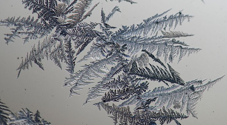 Kratzer, Staub und Rillen im Glas dienen als Startpunkt für das Wachstum der Eisblumen. (Archivbild) - © Patrick Seeger/dpa
