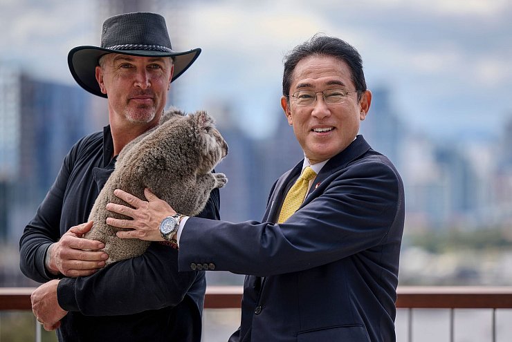 Auch viele Prominente, wie Japans Ministerpräsident Fumio Kishida, haben schon mit Koalas gekuschelt. (Archivbild) - © Stefan Gosatti/Getty Pool via AP/dpa