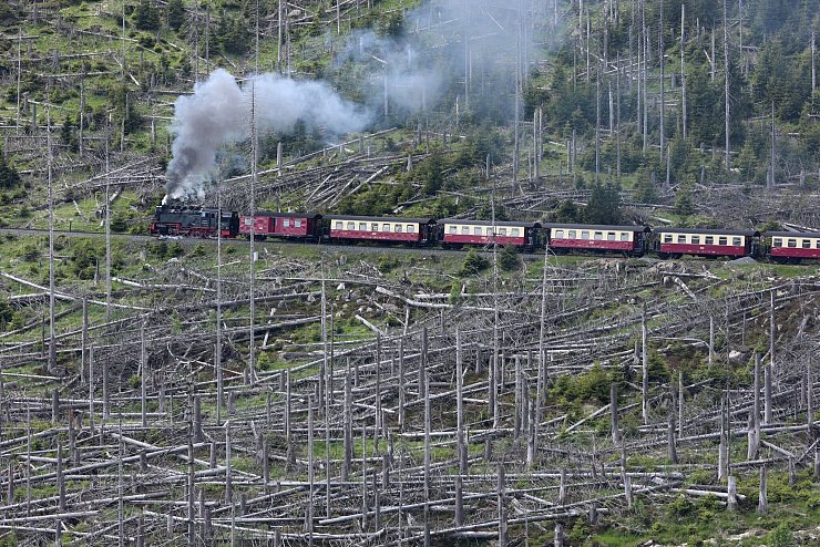 Ein Zug der Harzer Schmalspurbahnen GmbH (HSB) fährt mit einer Dampflok bespannt auf den Brocken. - © Matthias Bein/dpa