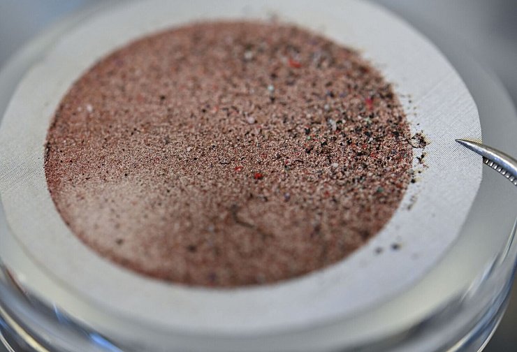 Mikroplastikpartikel haben sich nach Filtration auf einer Edelstahlmembran abgesetzt. (Symbolbild) - © Arne Dedert/dpa