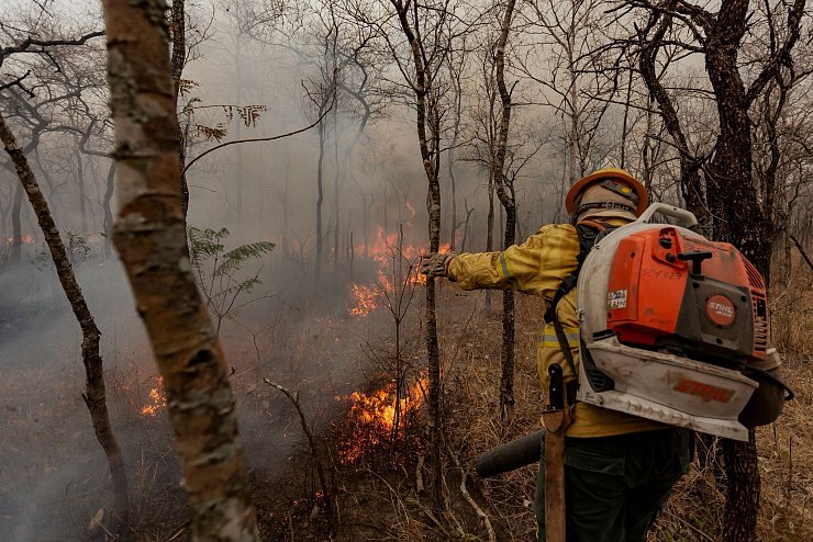 Flammen fressen sich durch die trockene Landschaft. - © Diego Cardoso/dpa