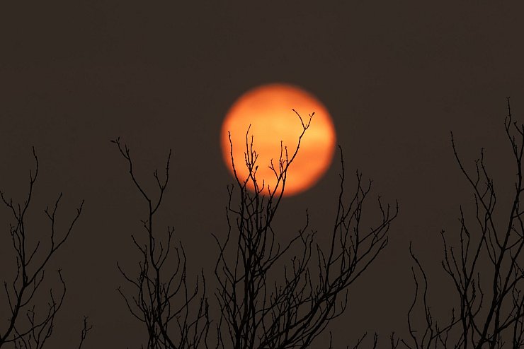 Der gesamte Himmel ist bei den Bränden in Rauch gehüllt. - © Diego Cardoso/dpa