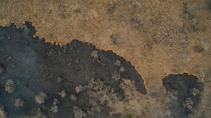 Die Luft flimmert vor Hitze, während sich die Flammen durch das trockene Gras fressen. - © Diego Cardoso/dpa