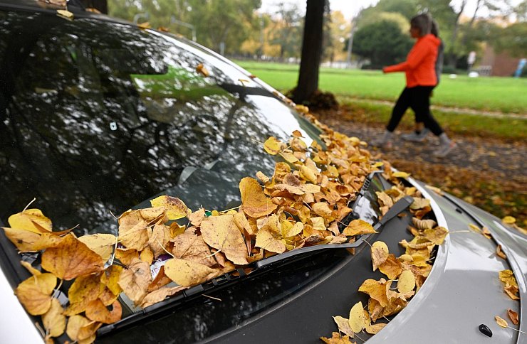 Etwas Sprühregen ist immer wieder möglich. - © Roberto Pfeil/dpa