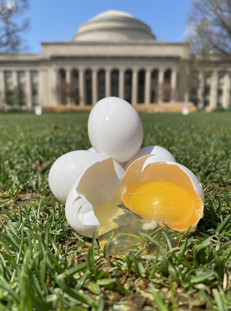Ist das Kunst oder Wissenschaft? Eier vor dem Massachusetts Institute of Technology in den USA. - © ---/Tal Cohen et al./dpa
