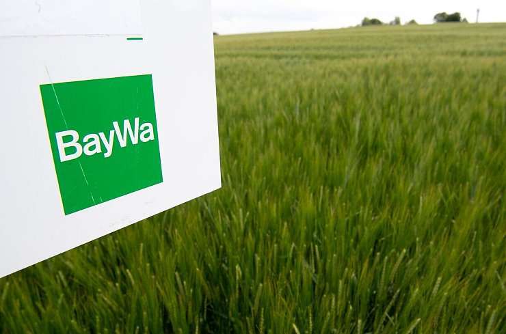 Die Baywa hat in ersten neun Monaten fast 641 Millionen Euro Verlust verbucht. - © Fabian Sommer/dpa