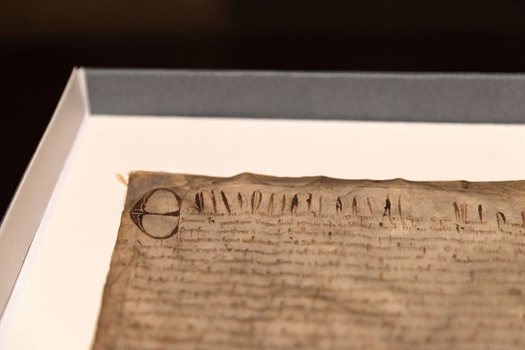 Eine mutmaßliche Kopie der Magna Carta ist nun ein Original - © Lorin Granger/Harvard Law School/dpa