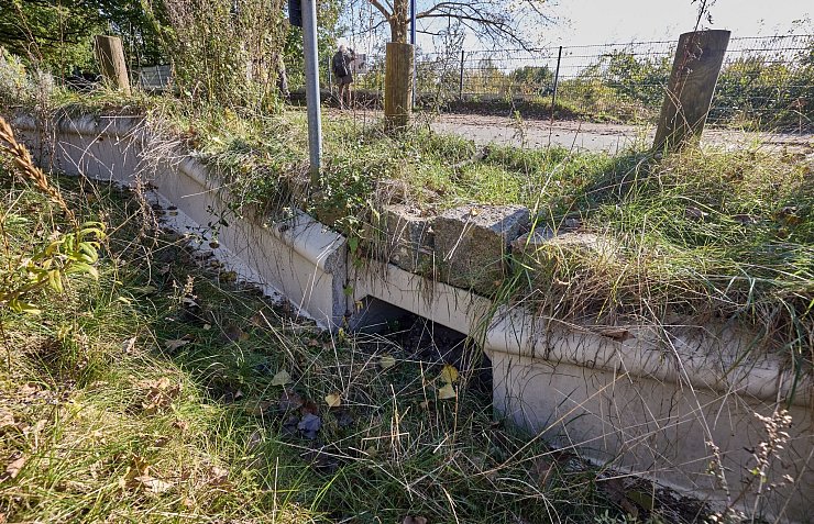 Finden sich im neuen Schwarzbuch des Steuerzahlerbunds im Kapitel «Richtig Skurril!»: Krötentunnel in Hamburg-Blankenese. - © Georg Wendt/dpa
