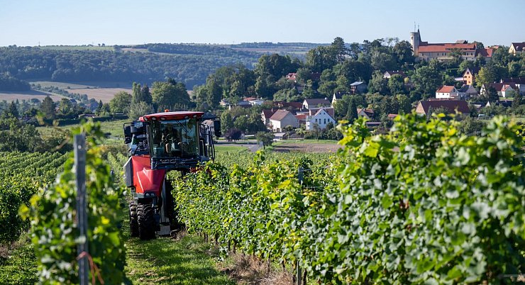 Höhere Kosten und weniger Wein-Trinker. Die Branche ist in der Krise. (Archivbild) - © Hendrik Schmidt/dpa