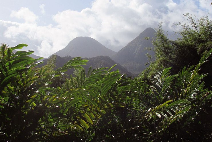 Zählt zum Welterbe der Unesco: der Gebirgszug Pitons du Carbet. - © Sabine Glaubitz/dpa-tmn