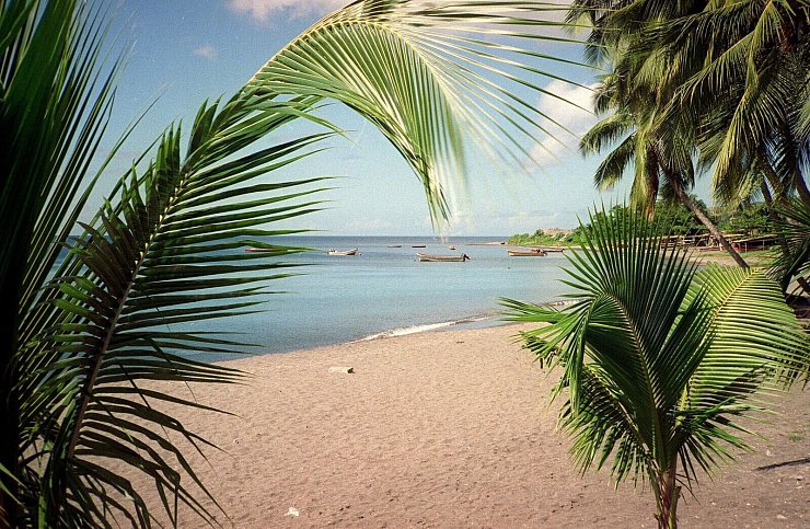 Idyllisch - ein Sandstrand mit Palmen auf der Karibikinsel Martinique. - © Bernd Kubisch/dpa-tmn