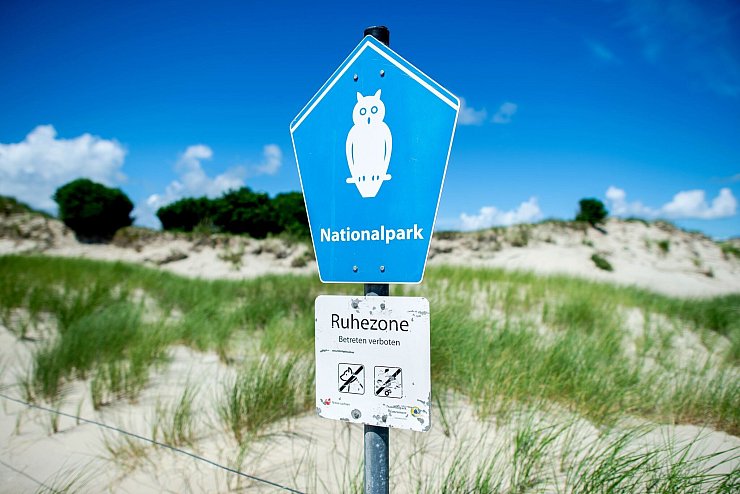 In der Ruhezone des Nationalparks Niedersächsisches Wattenmeer gelten die strengsten Schutzbestimmungen. (Archivbild) - © Hauke-Christian Dittrich/dpa