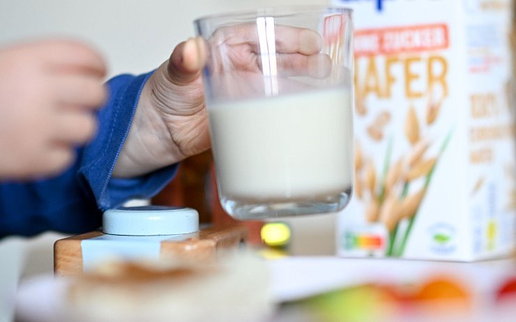 Von einer veganen Ernährung bei den Kleinen - also auch ohne Milch, Milchprodukte und Eier - raten Mediziner ab. - © Hendrik Schmidt/dpa