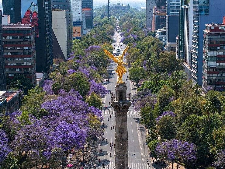 Blühende Jacaranda-Bäume entlang der Avenida Reforma in Mexiko-Stadt. (Archivbild) - © Li Muzi/XinHua/dpa