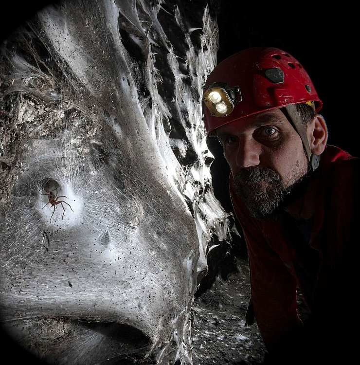 Ein Wissenschaftler vor dem riesigen Spinnennetz - © Marek Audy/Urak et al. 2025, Subterranean Biology, CC BY 4.0/dpa