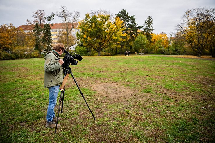 Im Park Thomashöhe haben Experten Sprengstoff gesprengt (Archivfoto). - © Christoph Soeder/dpa